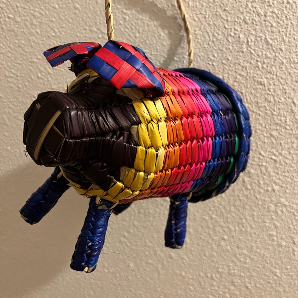 Palm Purse Bohemian Hand Woven Mexican Craft Rainbow Pig Shape